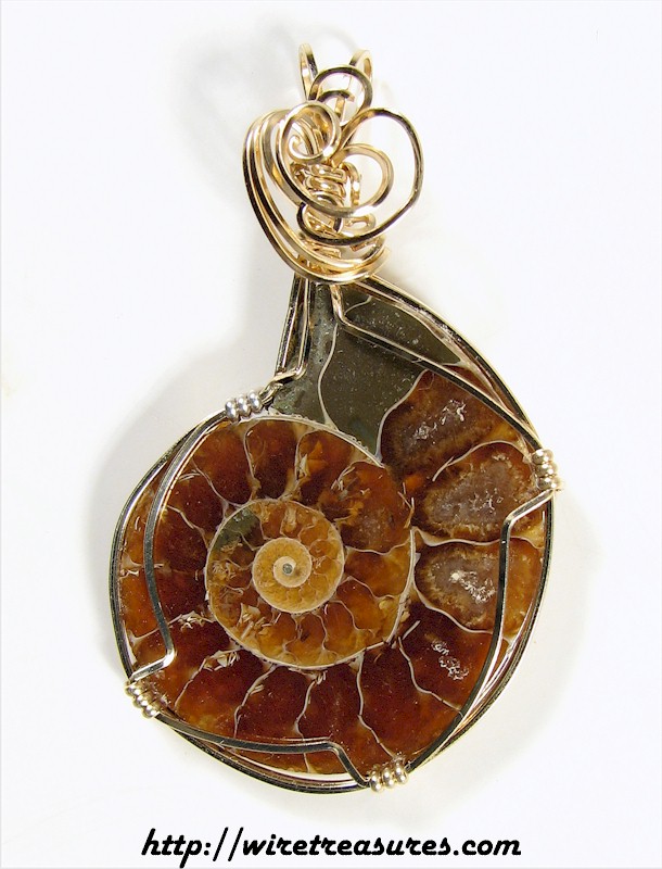 Ammonite Fossil Pendant