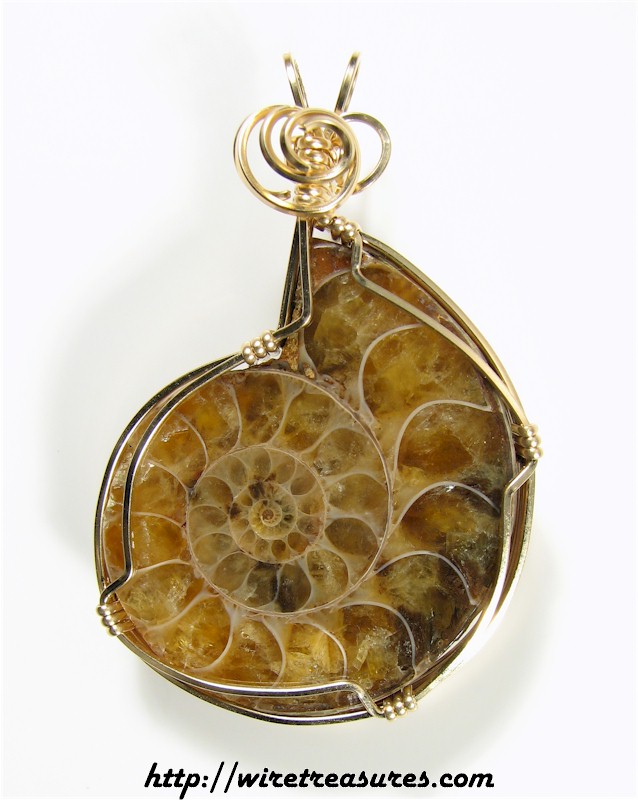 Ammonite Fossil Pendant