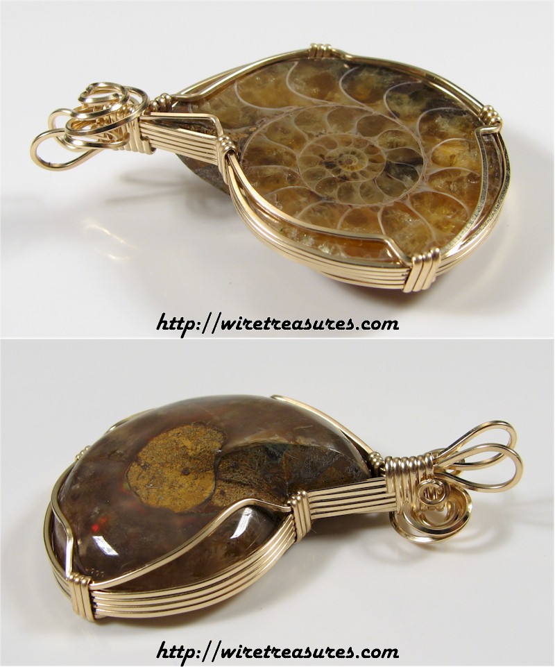 Ammonite Fossil Pendant