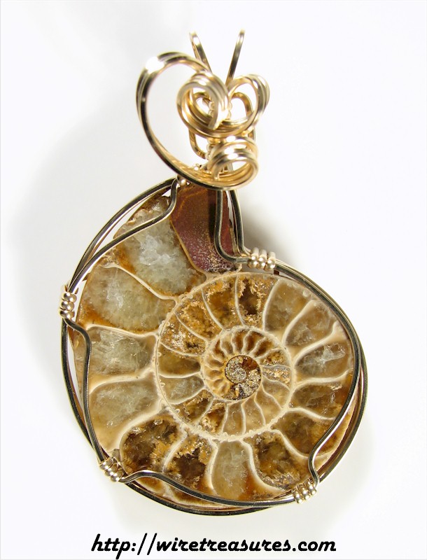 Ammonite Fossil Pendant