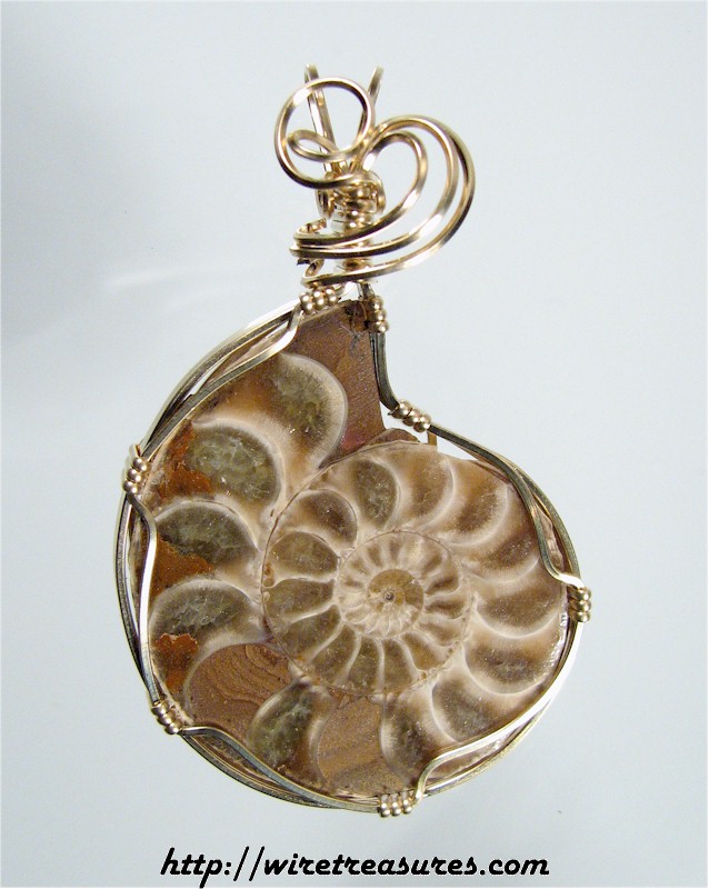 Ammonite Fossil Pendant