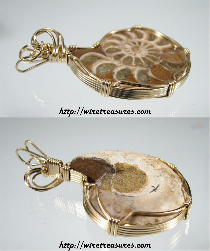 Ammonite Fossil Pendant