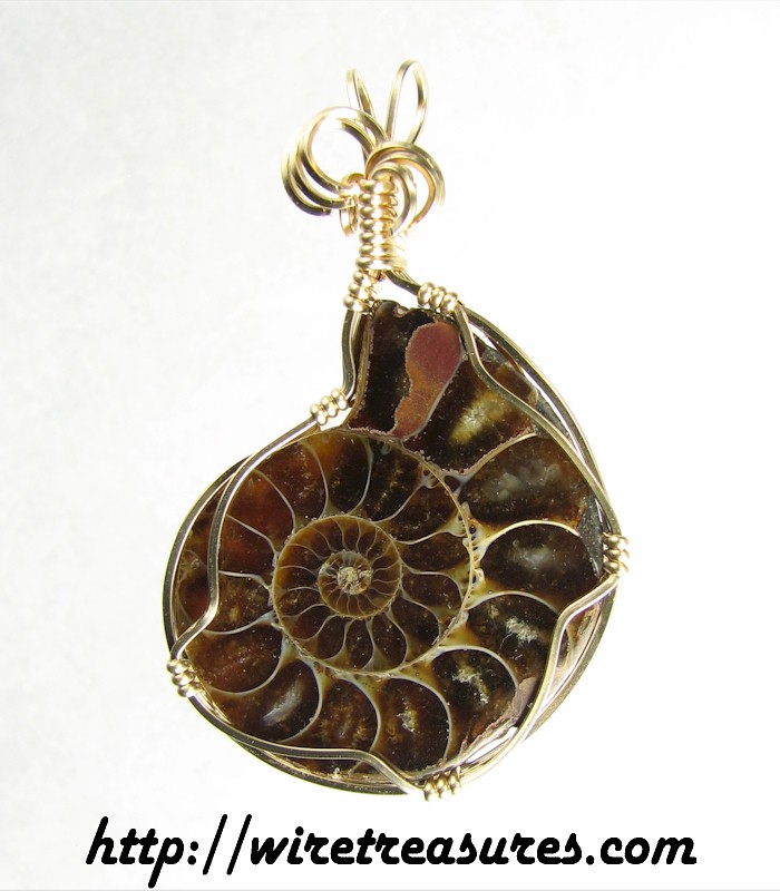 Ammonite Fossil Pendant