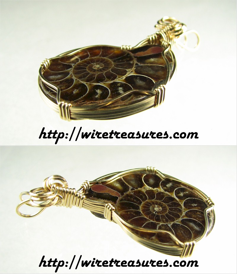 Ammonite Fossil Pendant