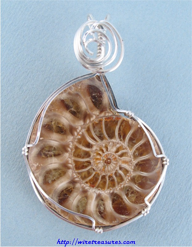 Ammonite Fossil Pendant