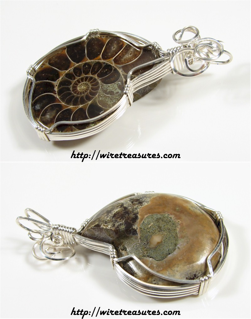 Ammonite Fossil Pendant