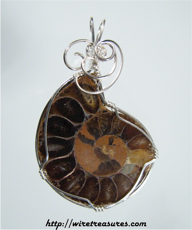 Ammonite Fossil Pendant