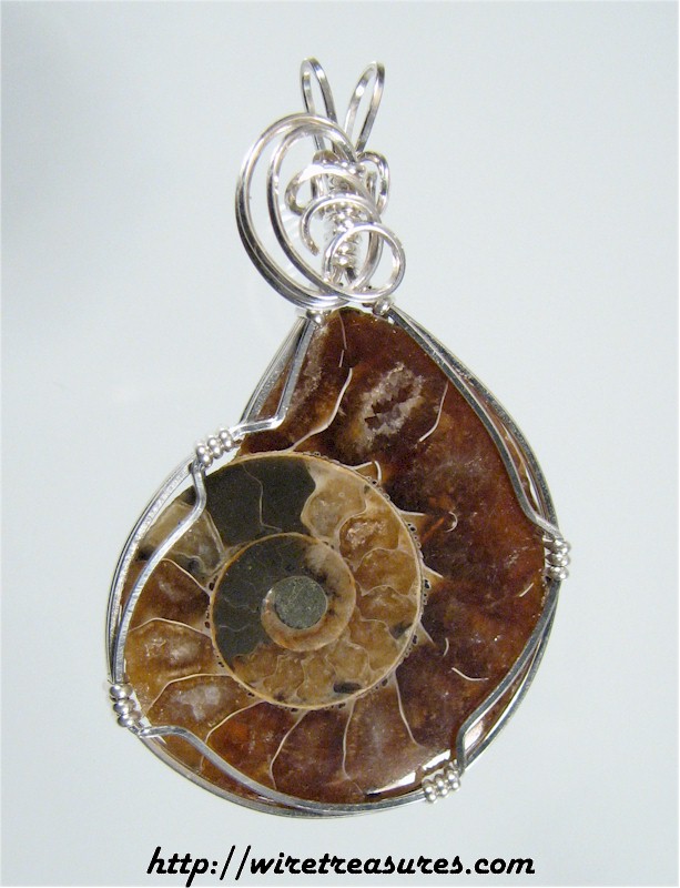 Ammonite Fossil Pendant