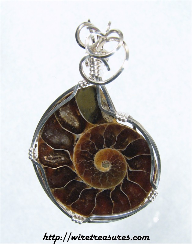 Ammonite Fossil Pendant