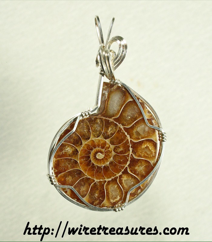 Ammonite Fossil Pendant