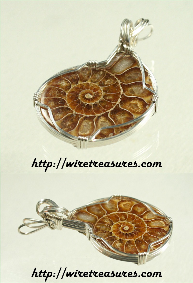 Ammonite Fossil Pendant