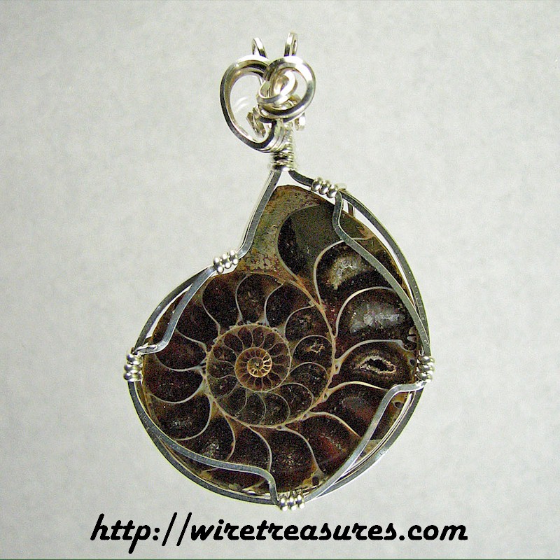 Ammonite Fossil Pendant